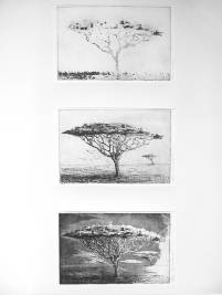 Drieluik etsen van een landschap met bomen door Debbie de Leau